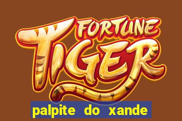 palpite do xande para hoje