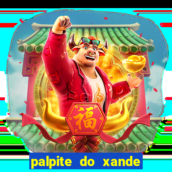 palpite do xande para hoje