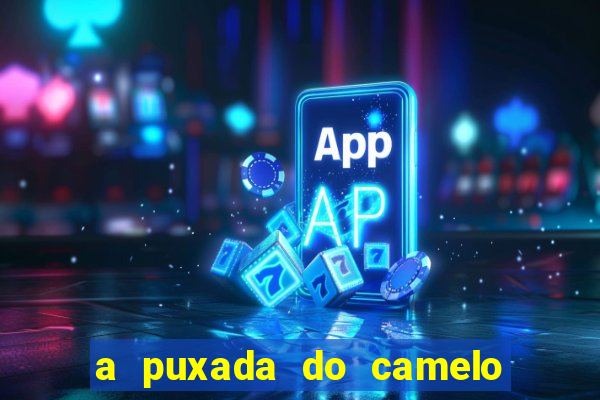 a puxada do camelo no jogo do bicho