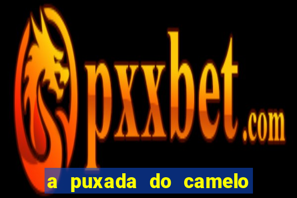 a puxada do camelo no jogo do bicho