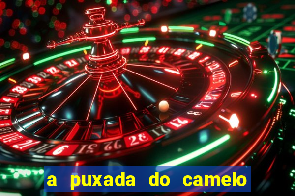 a puxada do camelo no jogo do bicho