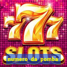 numero da pomba jogo do bicho