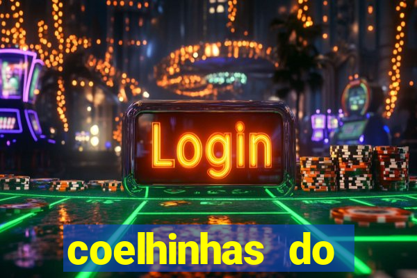 coelhinhas do brasil jp