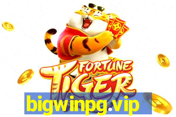 bigwinpg.vip