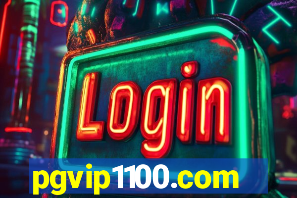 pgvip1100.com