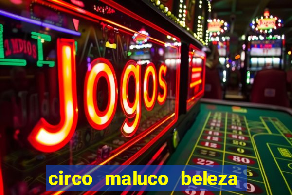 circo maluco beleza recife circo maluco