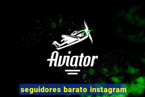 seguidores barato instagram