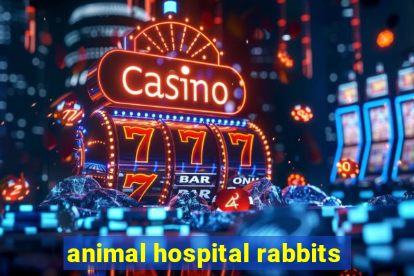 animal hospital rabbits