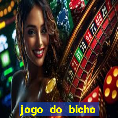 jogo do bicho crash bingo