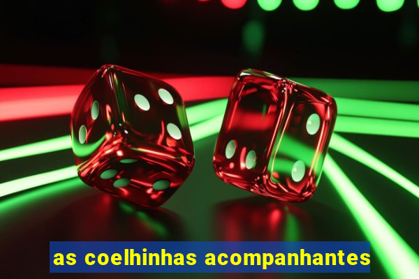 as coelhinhas acompanhantes