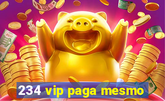 234 vip paga mesmo