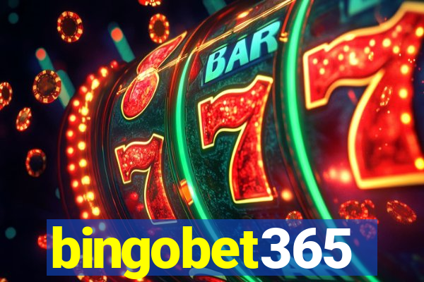 bingobet365