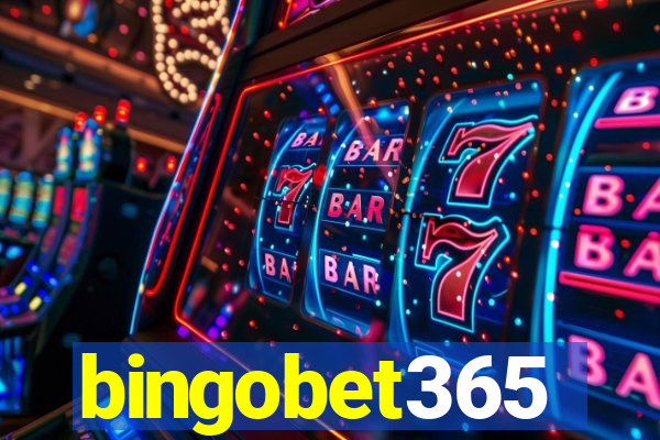 bingobet365