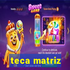 teca matriz