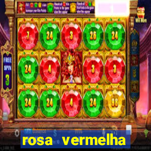 rosa vermelha (letra e cifra)