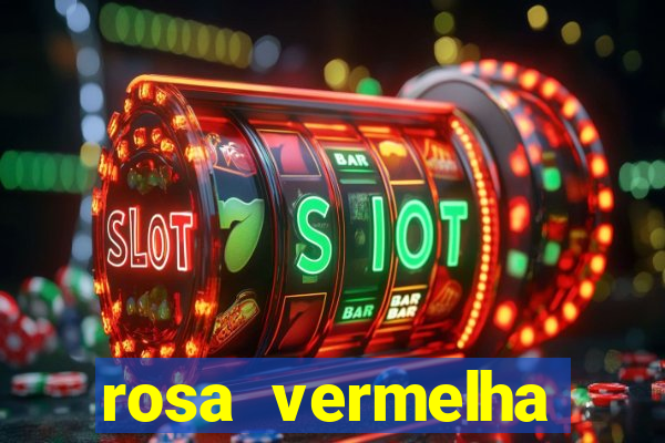 rosa vermelha (letra e cifra)