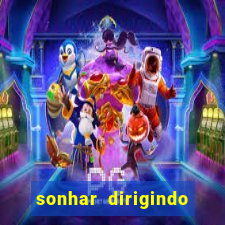 sonhar dirigindo carro jogo do bicho