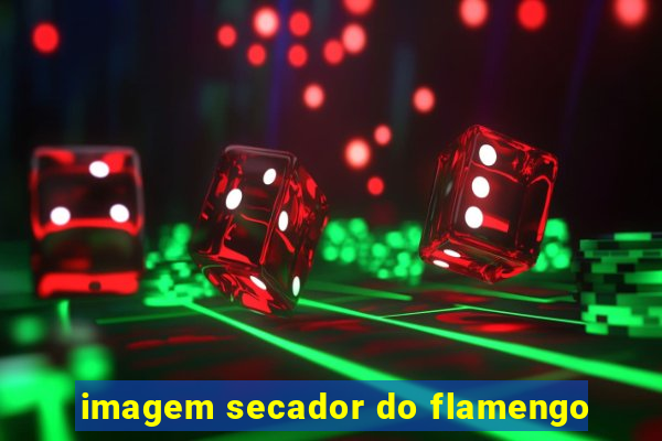 imagem secador do flamengo