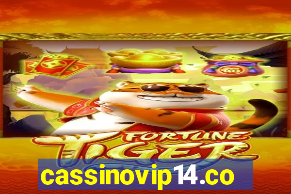 cassinovip14.com