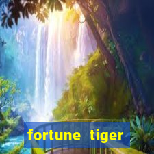 fortune tiger plataforma nova