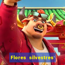 Flores silvestres brasileiras 25