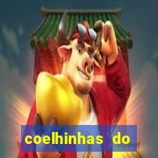 coelhinhas do brasil site