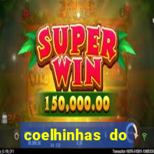 coelhinhas do brasil site