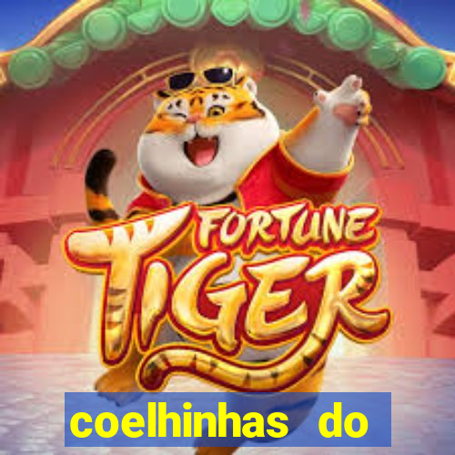 coelhinhas do brasil site