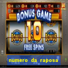 numero da raposa jogo do bicho