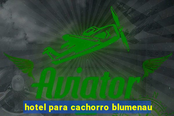 hotel para cachorro blumenau