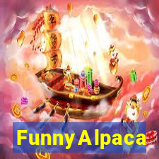 FunnyAlpaca