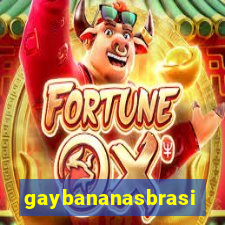 gaybananasbrasil.com