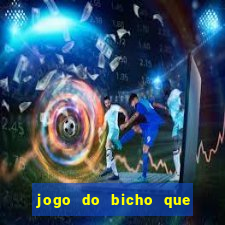 jogo do bicho que paga no pix