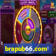 brapub66.com