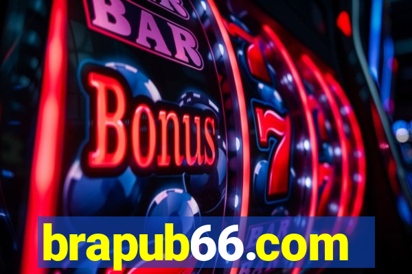 brapub66.com