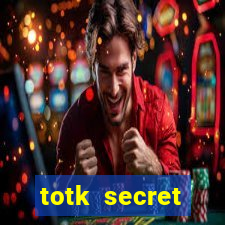 totk secret treasure under the great fish