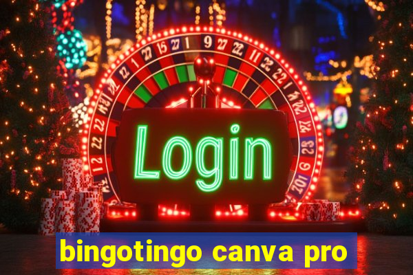 bingotingo canva pro