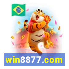 win8877.com