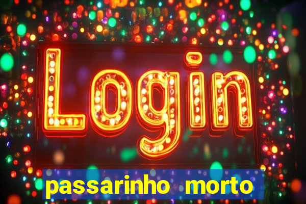 passarinho morto significado espiritual