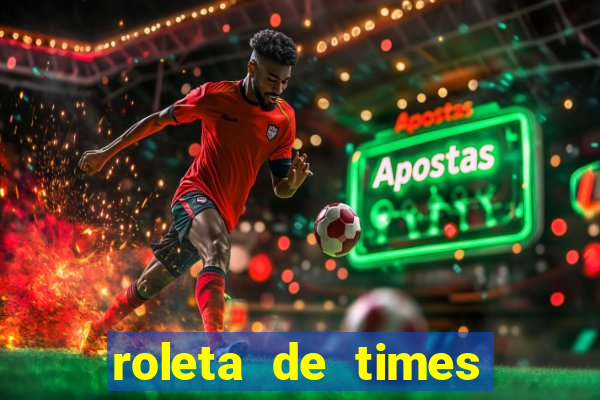 roleta de times brasileiros serie a 2024