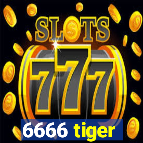 6666 tiger