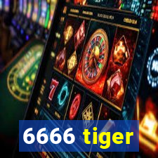 6666 tiger