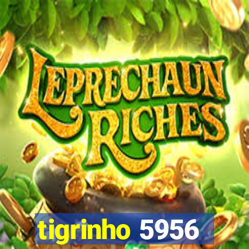 tigrinho 5956