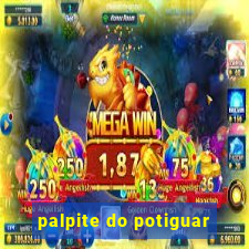 palpite do potiguar