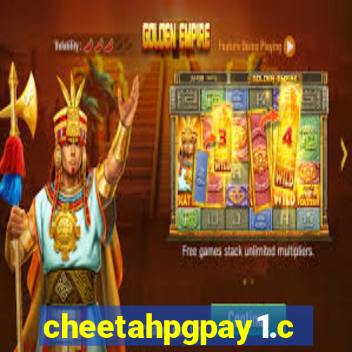 cheetahpgpay1.com