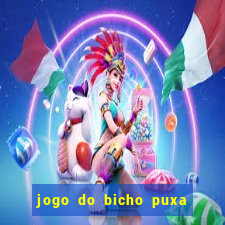 jogo do bicho puxa de dona maria