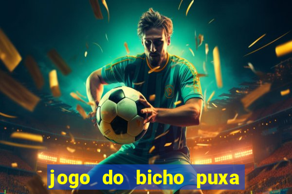 jogo do bicho puxa de dona maria