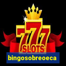 bingosobreoeca