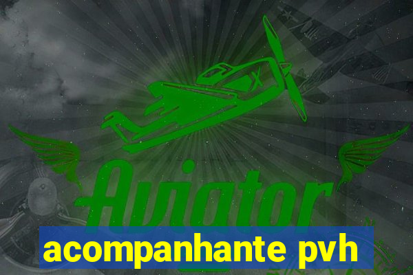 acompanhante pvh