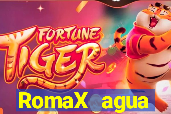 RomaX agua sanitaria fispq agua sanitaria romax